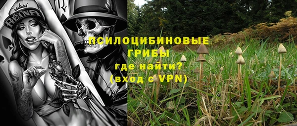 молекула духа Верея