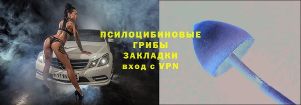 твердый Верхний Тагил