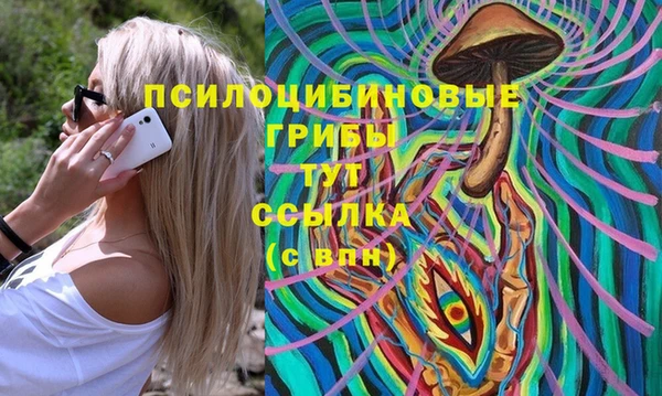молекула духа Верея