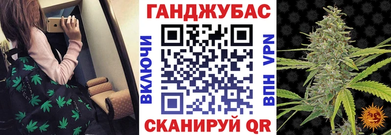 Купить закладки  Андреаполь  Конопля тримм 